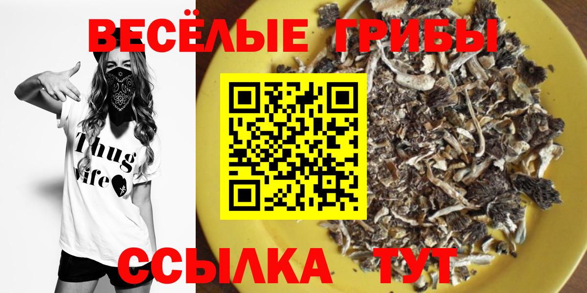 Псилоцибиновые грибы Magic Shrooms Лянтор