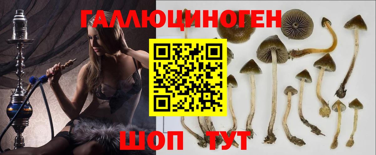Лянтор  Псилоцибиновые грибы Psilocybine cubensis  Галлюциногенные грибы GOLDEN TEACHER  Вход с VPN 