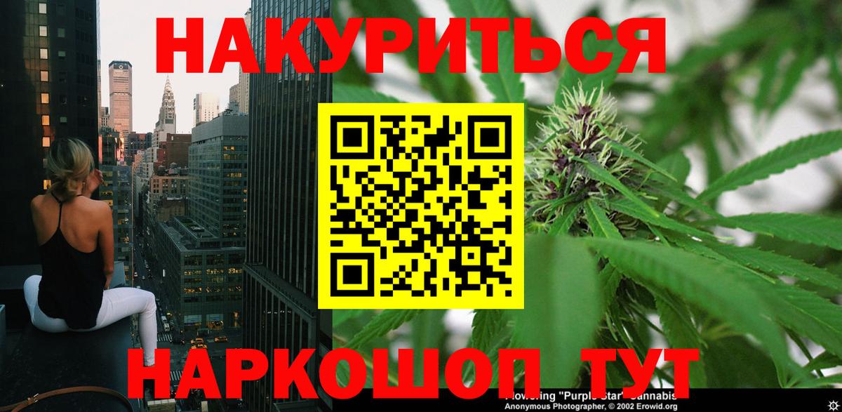 Конопля гибрид Лянтор